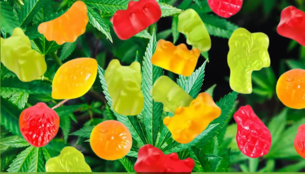 LifestylesBuzz - CBG Gummies: The New Wellness Supplement