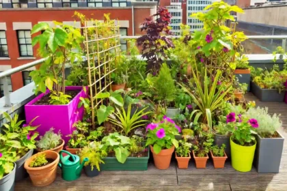 LifestylesBuzz - Urban Gardening: How to Grow Your Own Food in the City